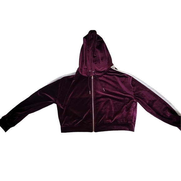 BLUENOTE Matching Purple Velvet Joggers And Hoodie Women Size L - Picture 3 of 16